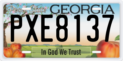 GA license plate PXE8137