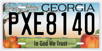 GA license plate PXE8140