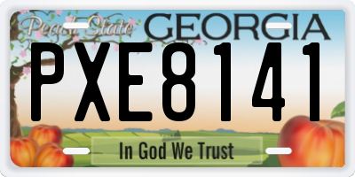 GA license plate PXE8141