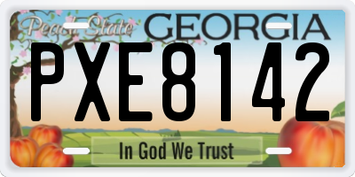 GA license plate PXE8142
