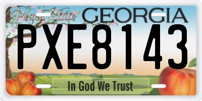 GA license plate PXE8143