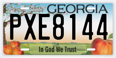 GA license plate PXE8144