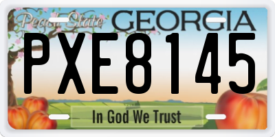 GA license plate PXE8145