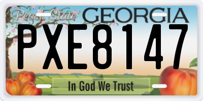 GA license plate PXE8147