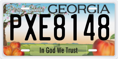 GA license plate PXE8148
