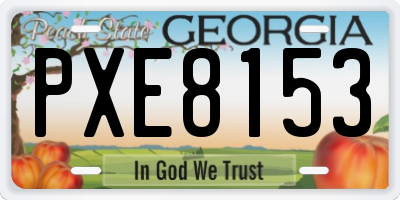 GA license plate PXE8153