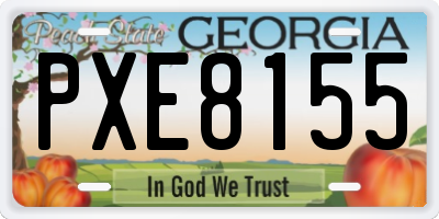 GA license plate PXE8155