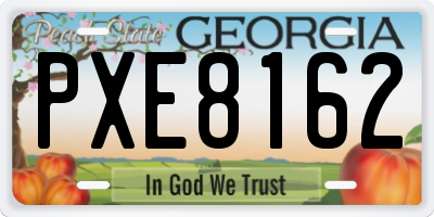GA license plate PXE8162