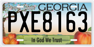 GA license plate PXE8163