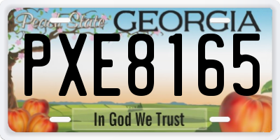 GA license plate PXE8165