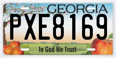 GA license plate PXE8169