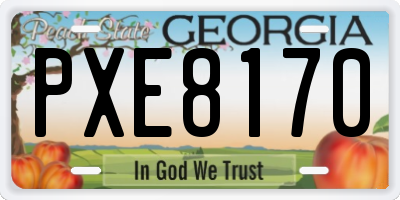GA license plate PXE8170