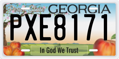 GA license plate PXE8171