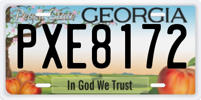 GA license plate PXE8172