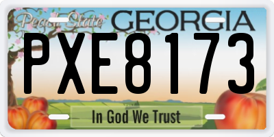 GA license plate PXE8173