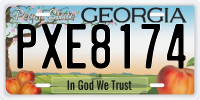 GA license plate PXE8174