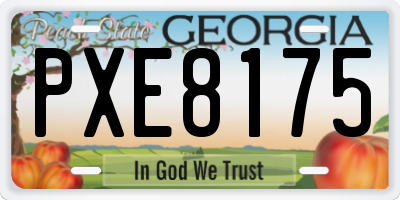 GA license plate PXE8175