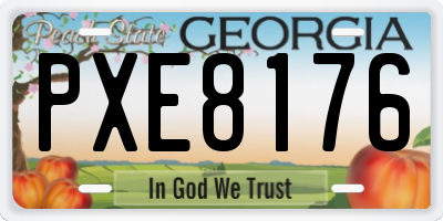 GA license plate PXE8176