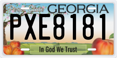 GA license plate PXE8181