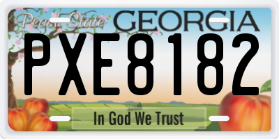 GA license plate PXE8182