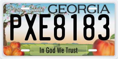 GA license plate PXE8183