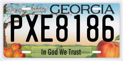 GA license plate PXE8186