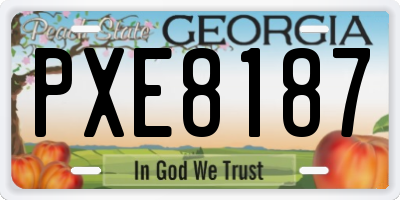 GA license plate PXE8187