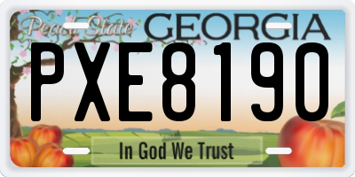 GA license plate PXE8190