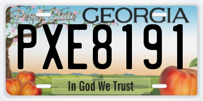 GA license plate PXE8191