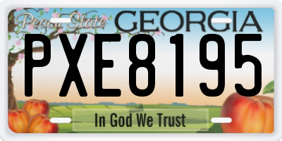 GA license plate PXE8195