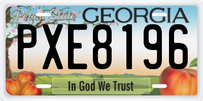 GA license plate PXE8196