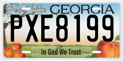 GA license plate PXE8199