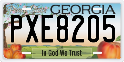 GA license plate PXE8205