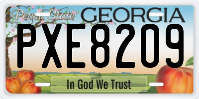 GA license plate PXE8209