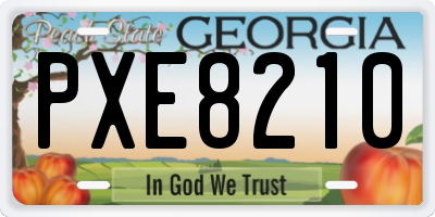 GA license plate PXE8210