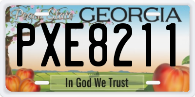 GA license plate PXE8211