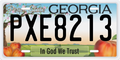 GA license plate PXE8213