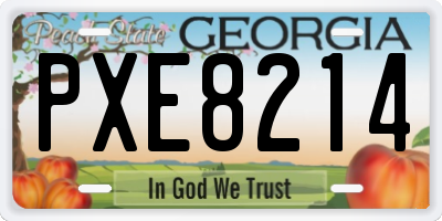 GA license plate PXE8214