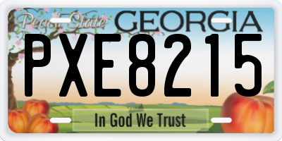 GA license plate PXE8215