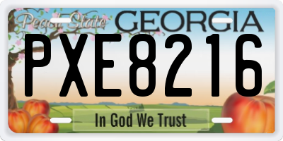 GA license plate PXE8216