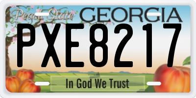 GA license plate PXE8217