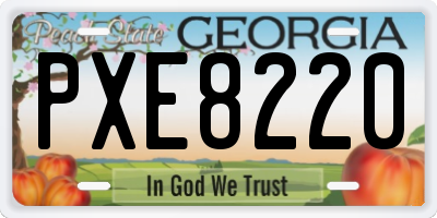 GA license plate PXE8220