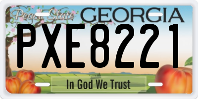 GA license plate PXE8221