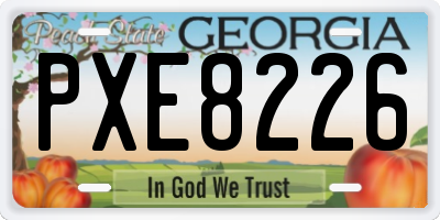 GA license plate PXE8226