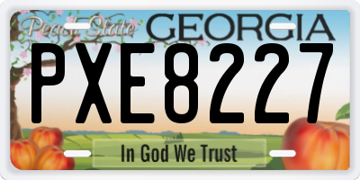 GA license plate PXE8227