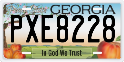 GA license plate PXE8228