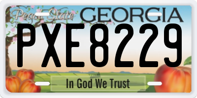 GA license plate PXE8229