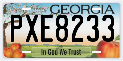 GA license plate PXE8233