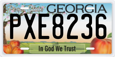 GA license plate PXE8236