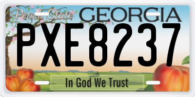 GA license plate PXE8237
